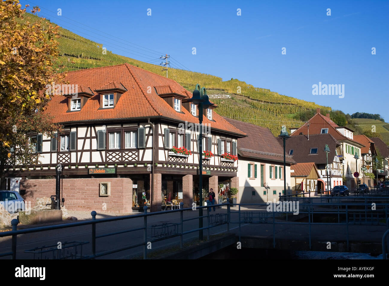 Single baden württemberg Landtag Baden Württemberg - Abgeordnete