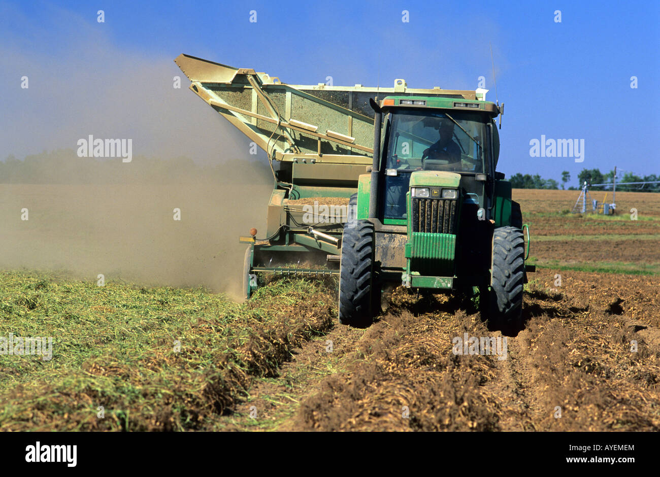 peanut-harvesting