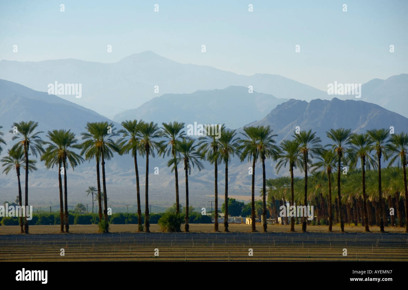 Imperial coachella hires stock photography and images Alamy