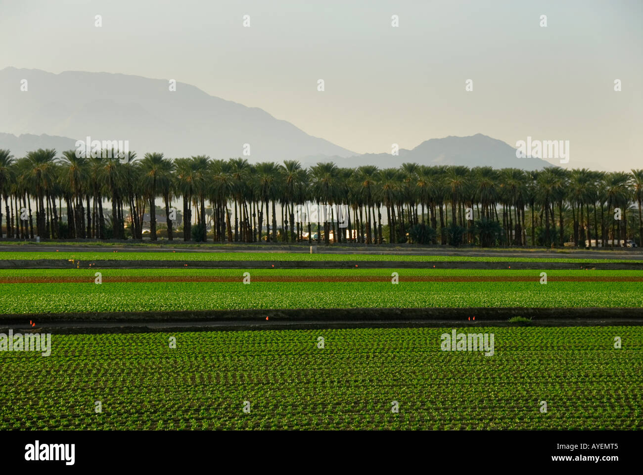 Coachella Valley California Stock Photo - Alamy
