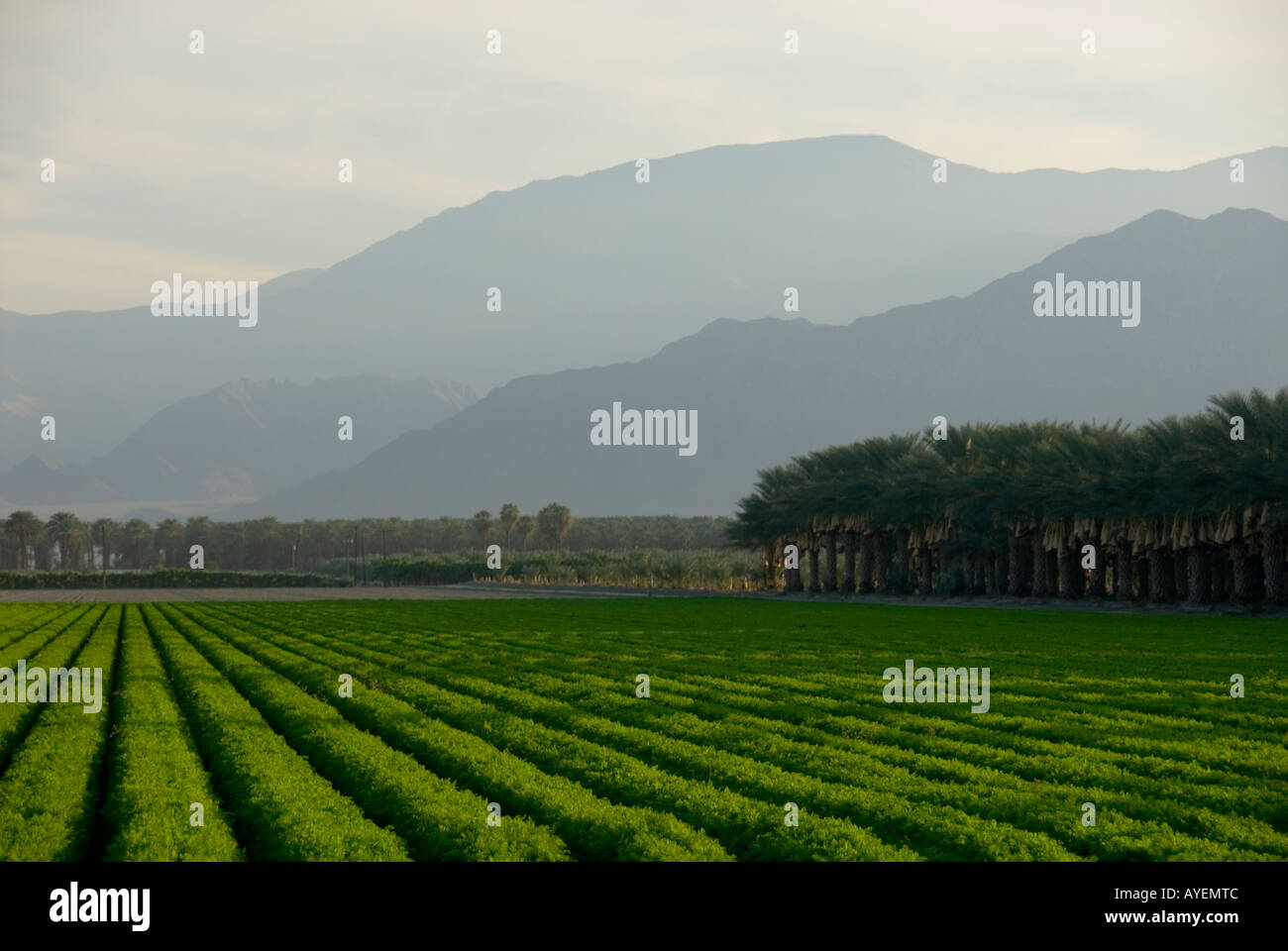 Coachella Valley California Stock Photo - Alamy