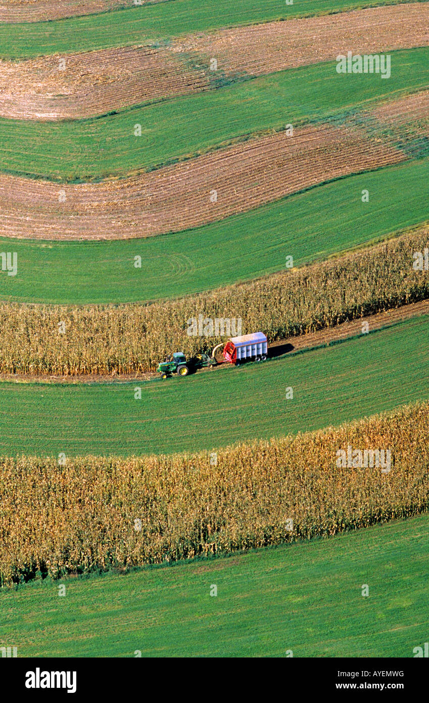 Strip Cropping Diagram