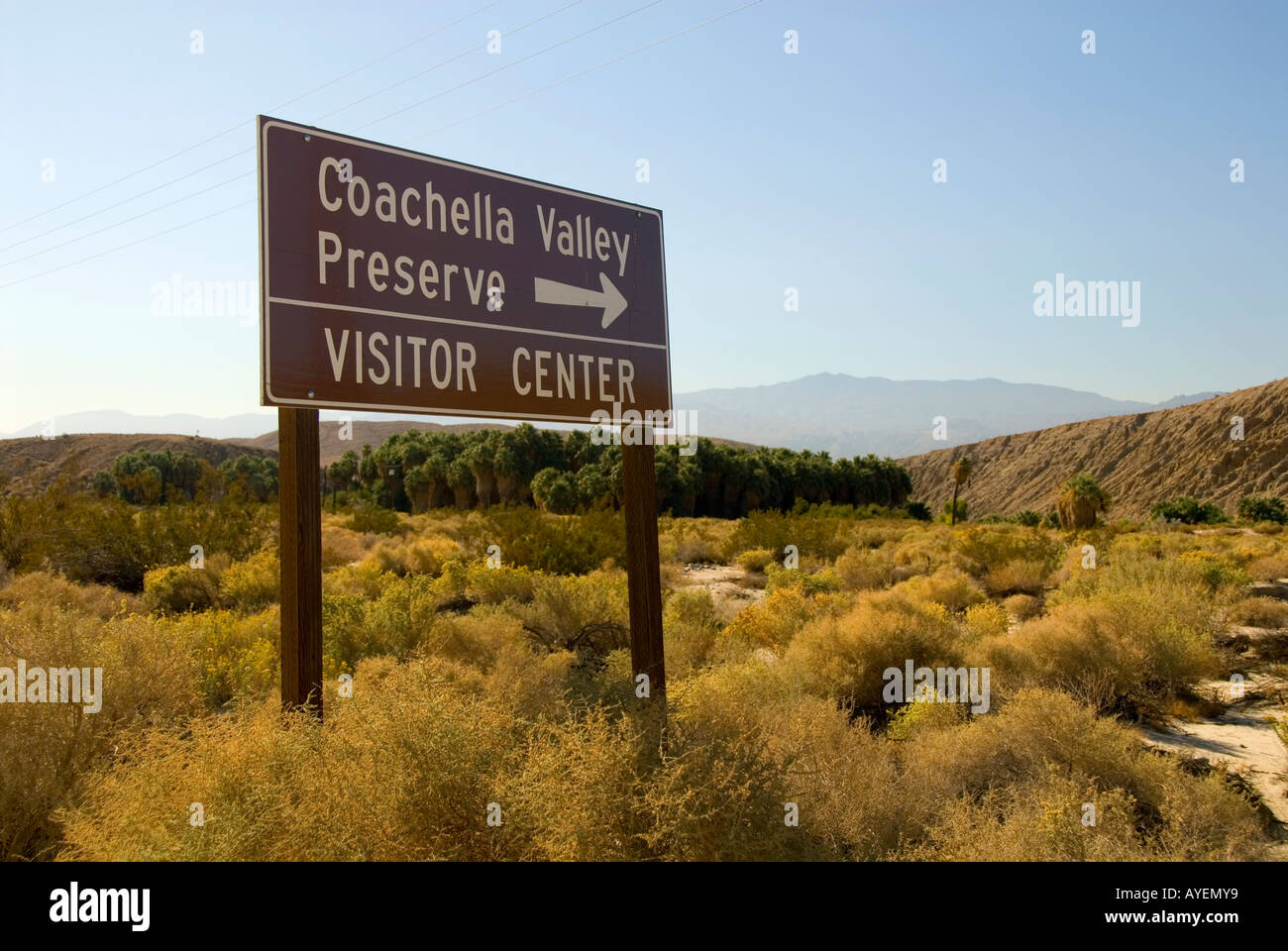 The Coachella Valley Preserve California Stock Photo Alamy
