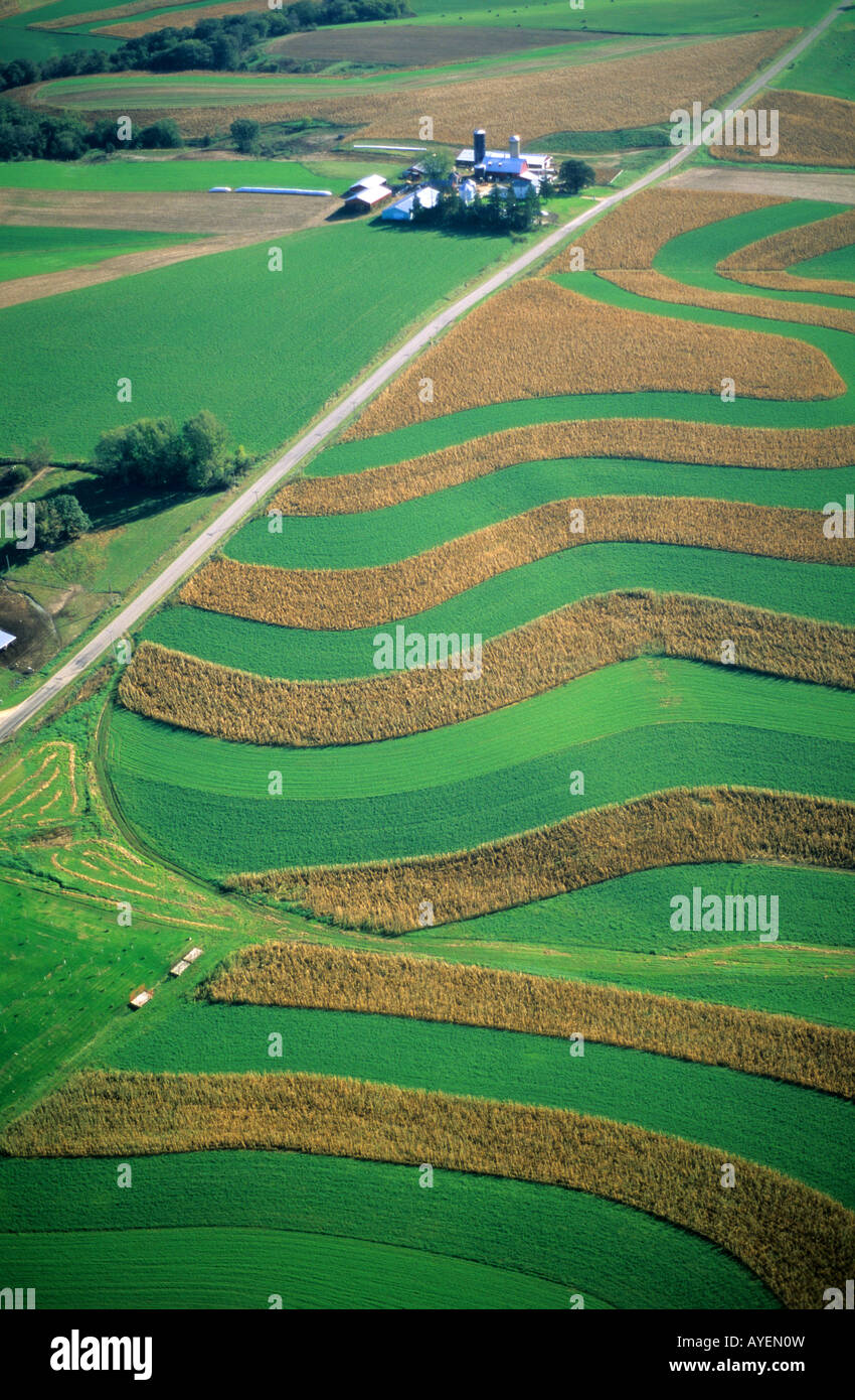 Strip Cropping Diagram