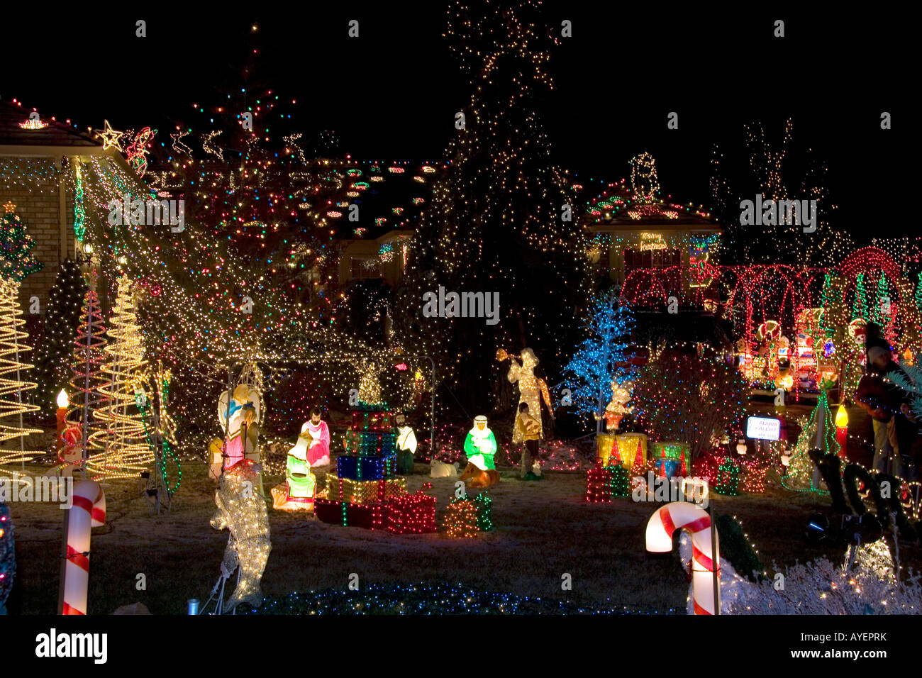 Festive Holiday Display at Boise Festival of Trees 2025