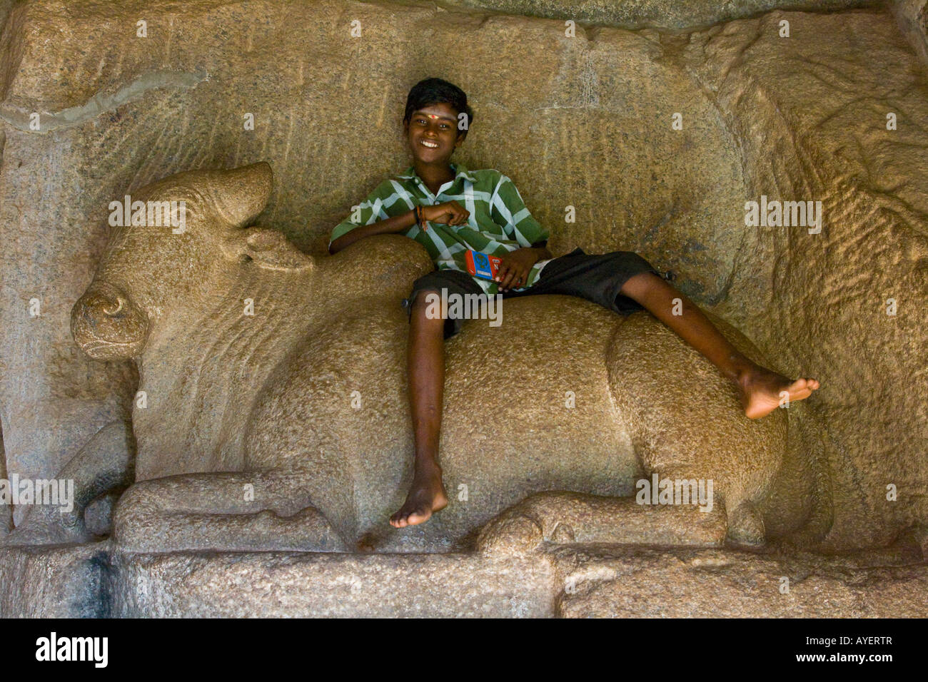 Indian Boy Sitting on Nandi the Bull inside a Mandapam in Mamallapuram South India Stock Photo