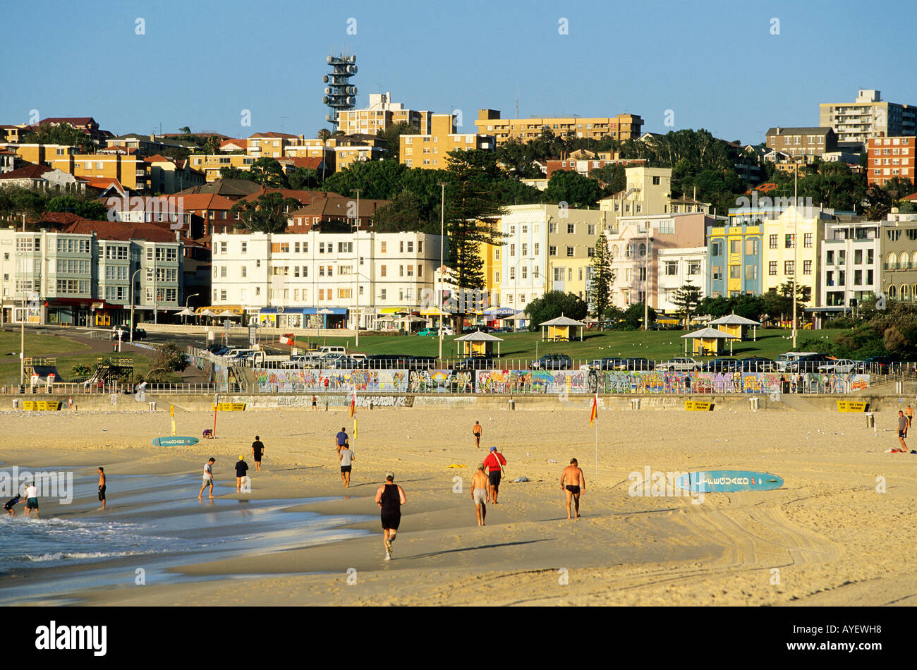 People on Bondi Beach in the early morning Sydney Stock Photo Alamy