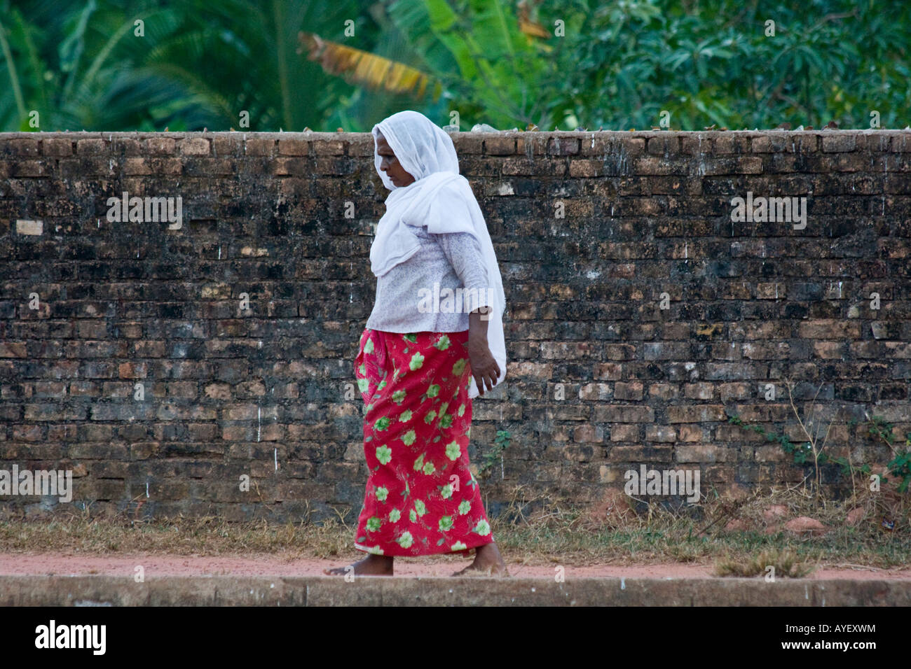 Kerala india indian woman hi-res stock photography and images - Alamy