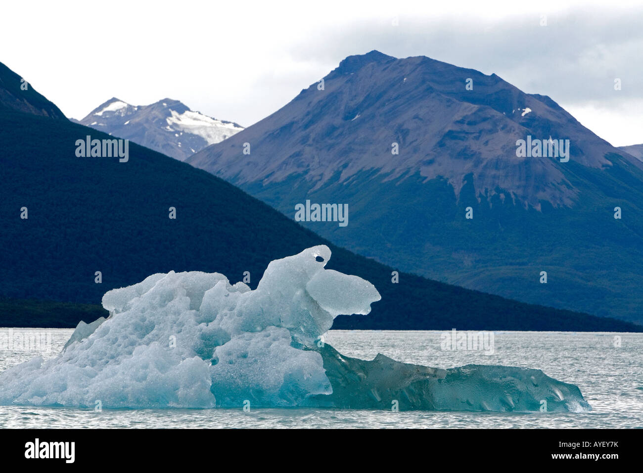 Ice berg from the Perito Moreno Glacier in Patagonia Argentina Stock Photo