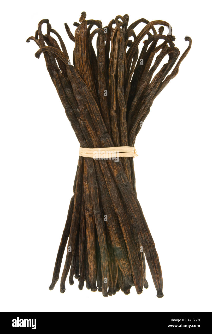 Vanilla beans pods stick real Vanille vanill of MADAGASCAR bundle much