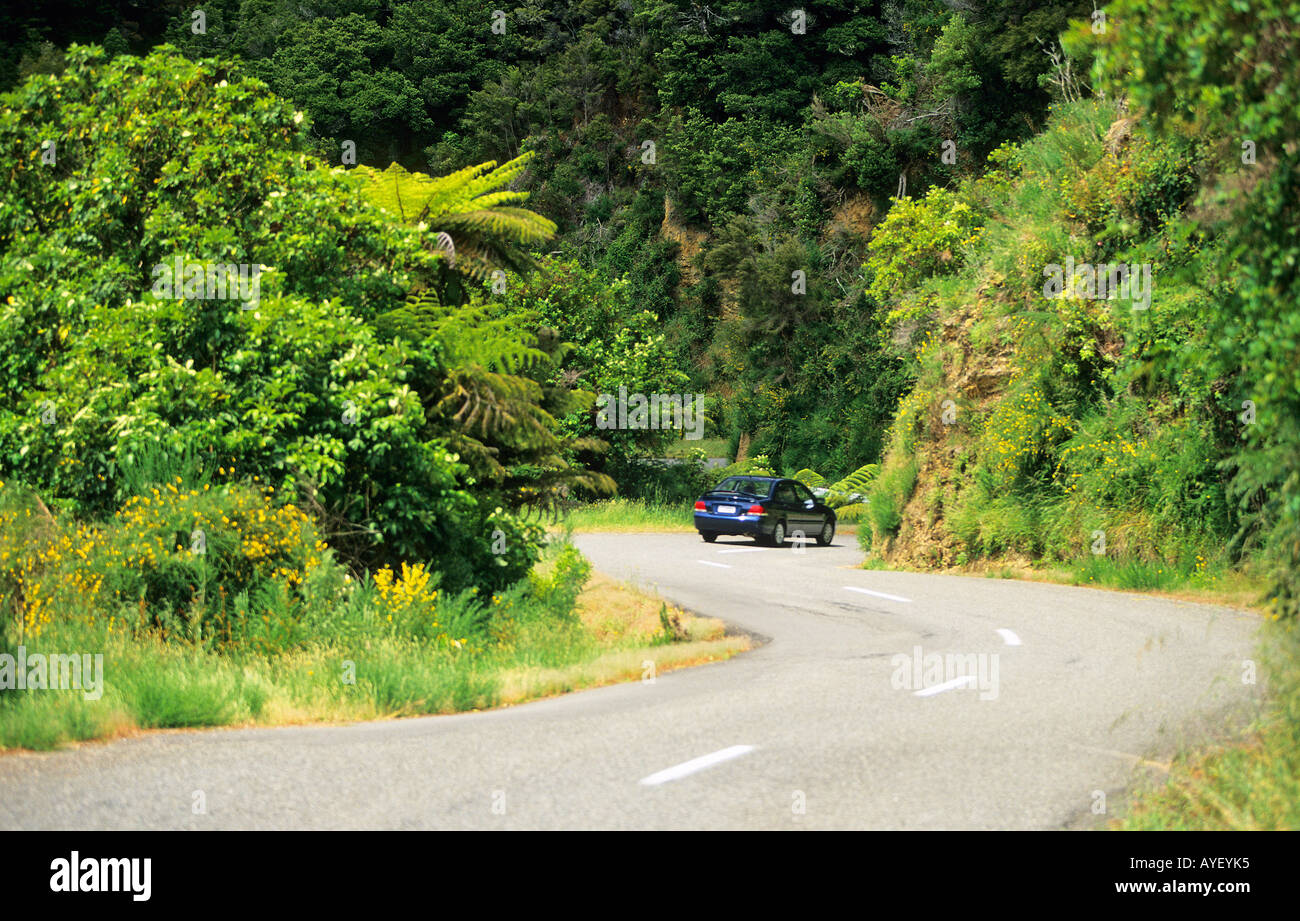 View of road along scenic Queen Charlotte drive Stock Photo Alamy