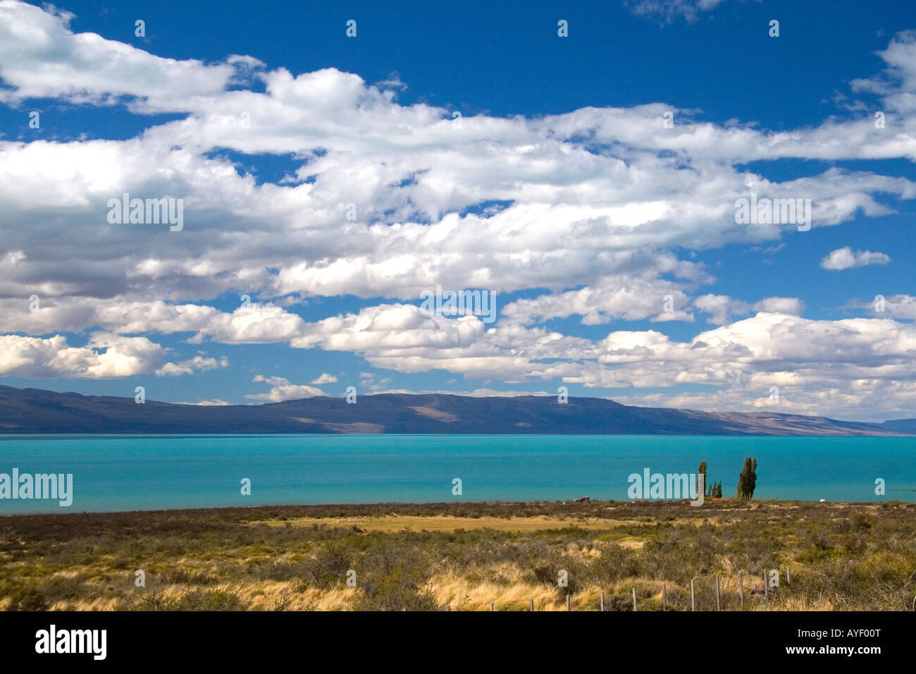 Lake Argentino near El Calafate Patagonia Argentina Stock Photo - Alamy