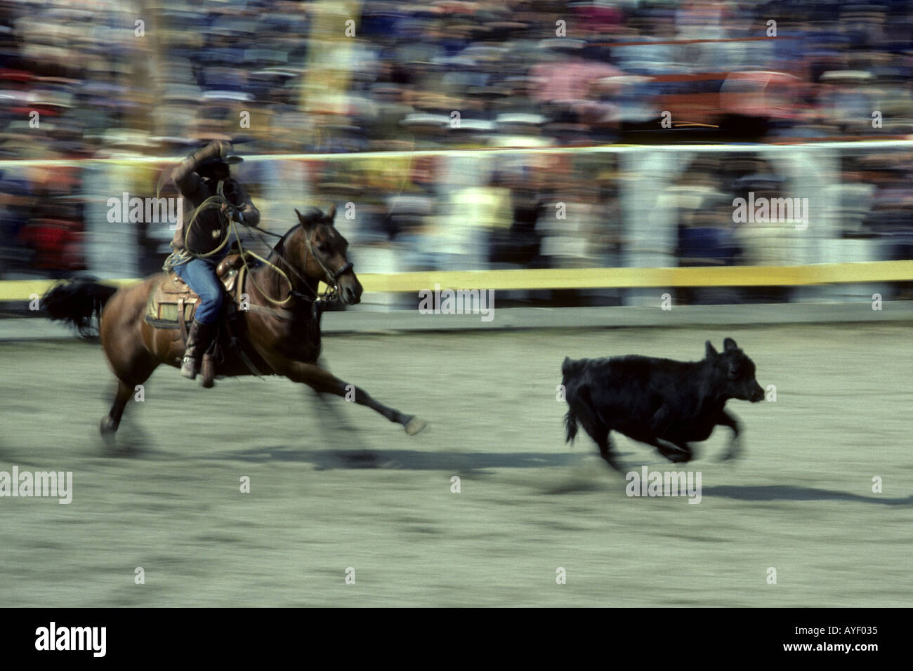 Canada rodeo Stock Photo