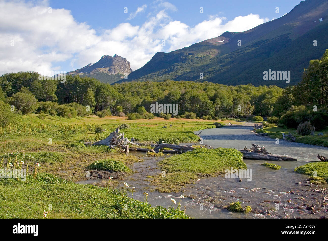 Nature inside the Tierra del Fuego National Park Argentina Stock Photo