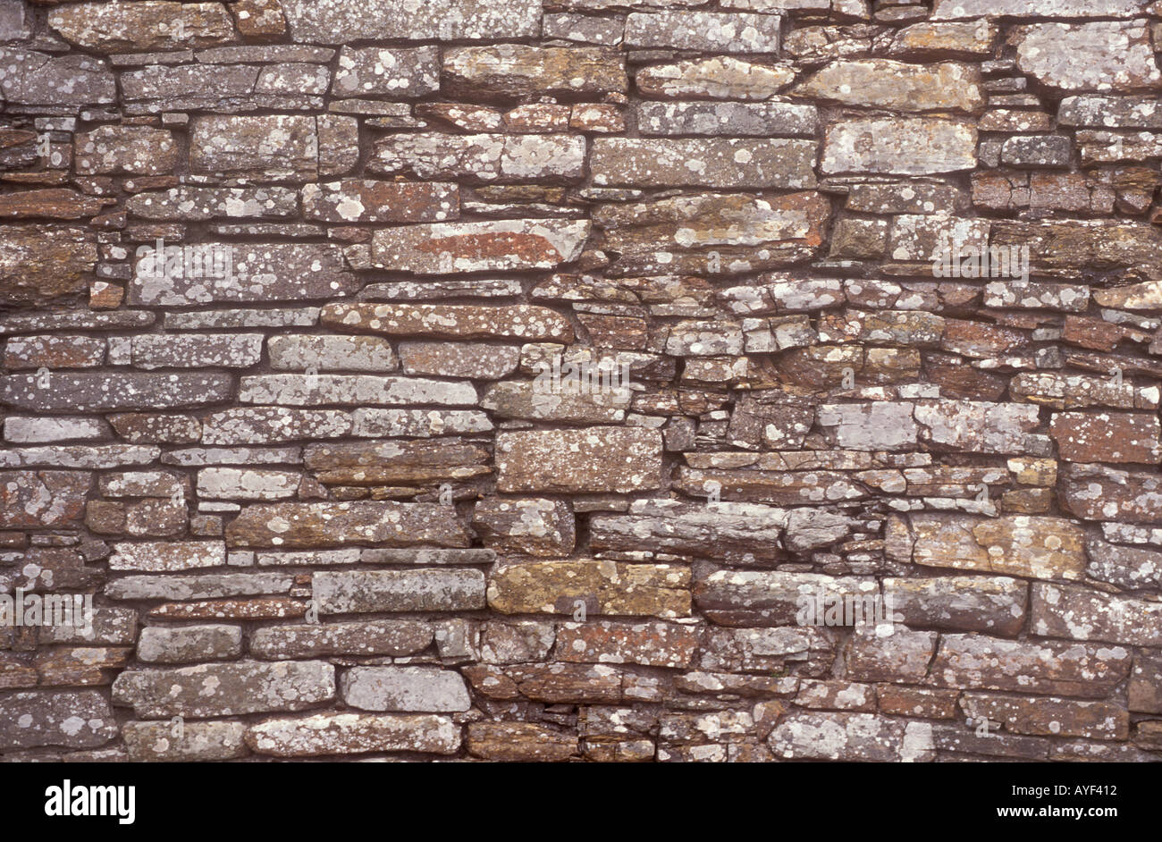 An old lichen covered stone wall Stock Photo