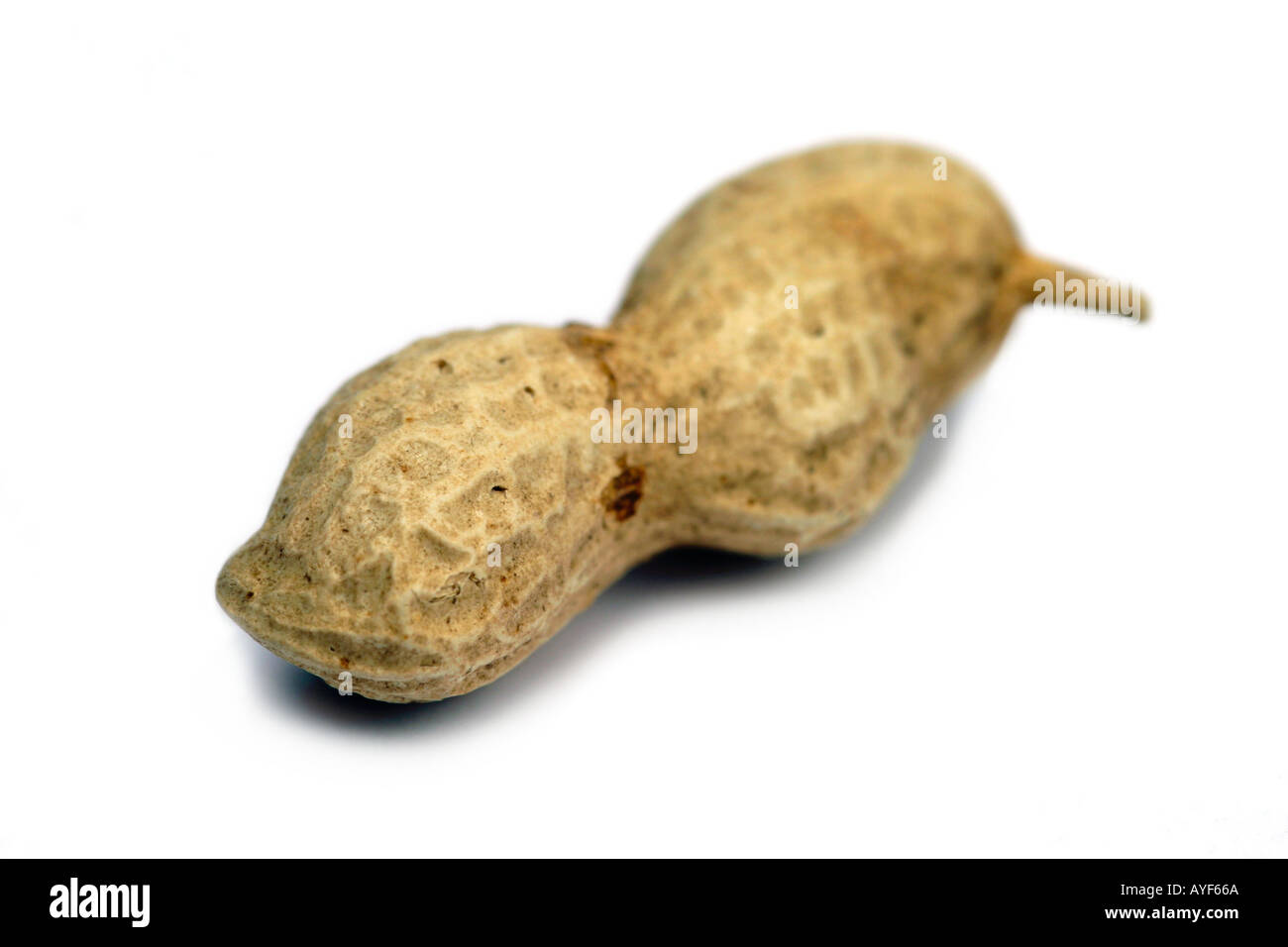 Peanut is shell low pay concepts Stock Photo