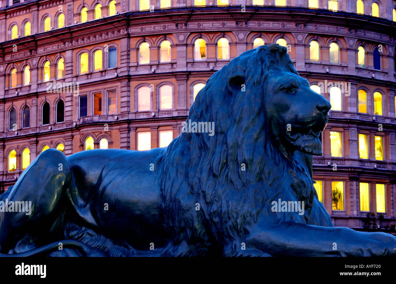 lions in trafalgar square detail night london england uk Stock Photo ...