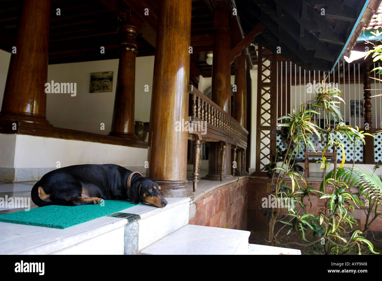 Dog Resting On Front Porch Of Old Indian Wooden Style Kerala House India Stock Photo Alamy