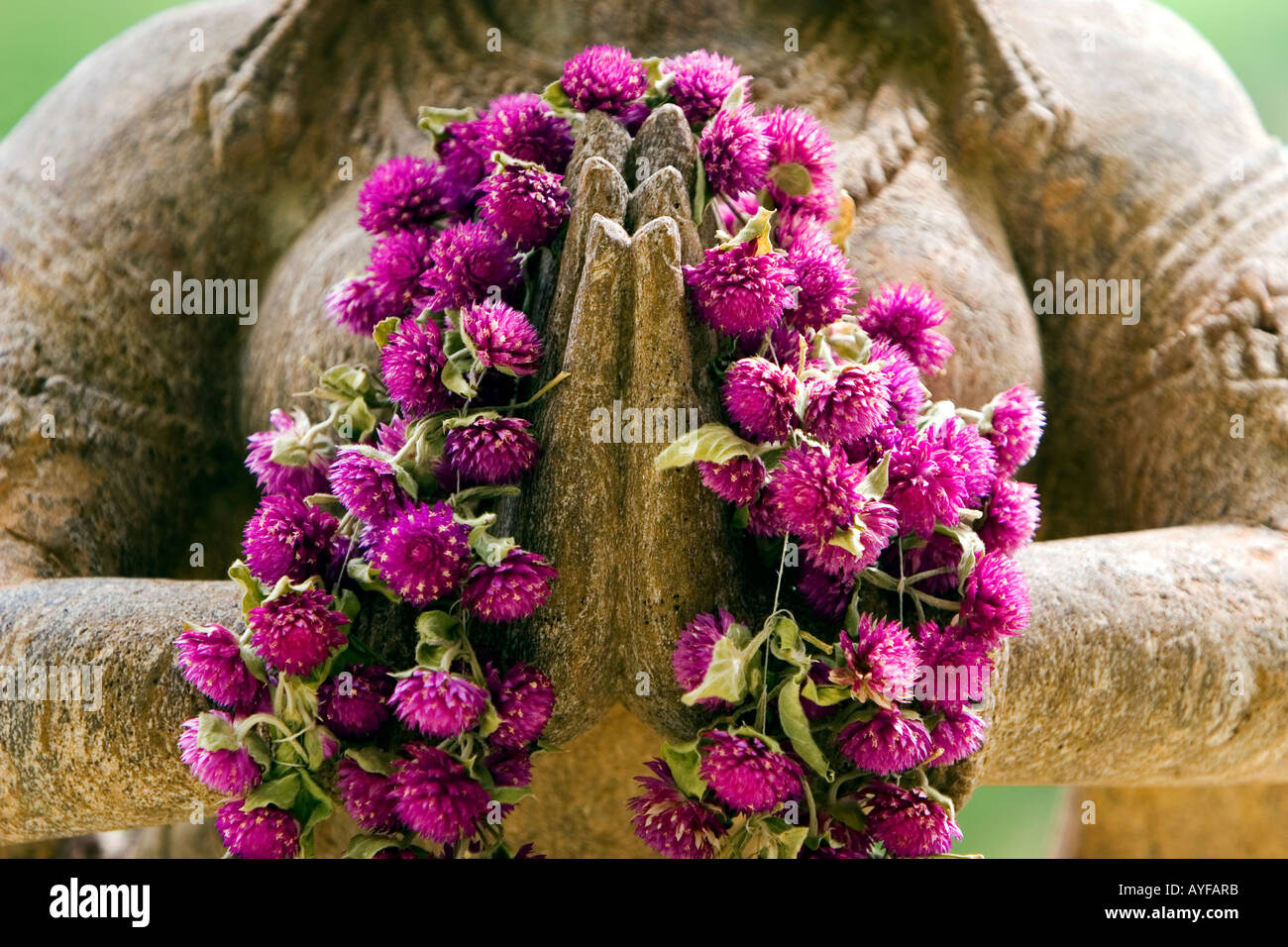 Flowers For Prayer High Resolution Stock Photography and Images Alamy