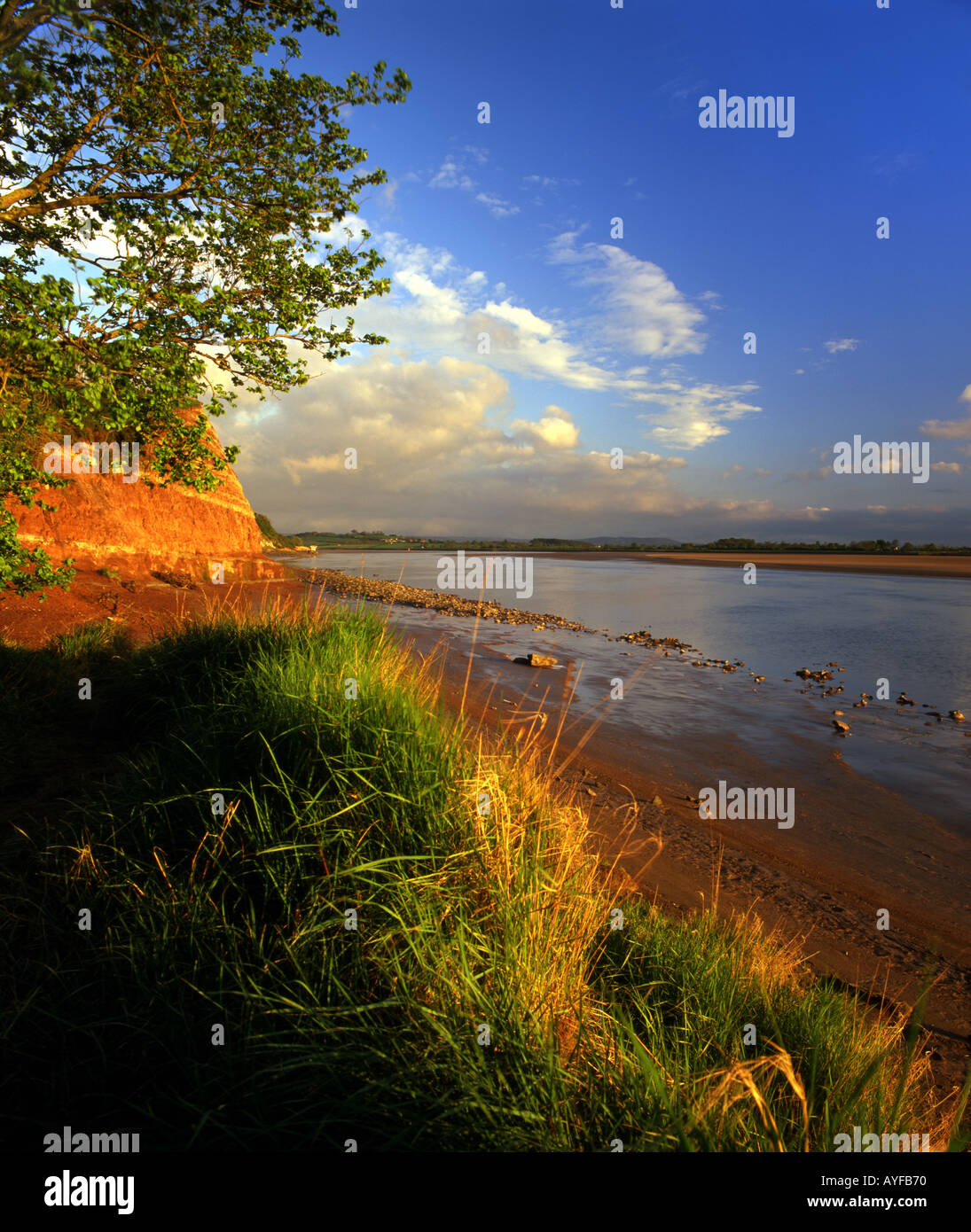 River Severn at Westbury on Severn Gloucestershire Stock Photo Alamy