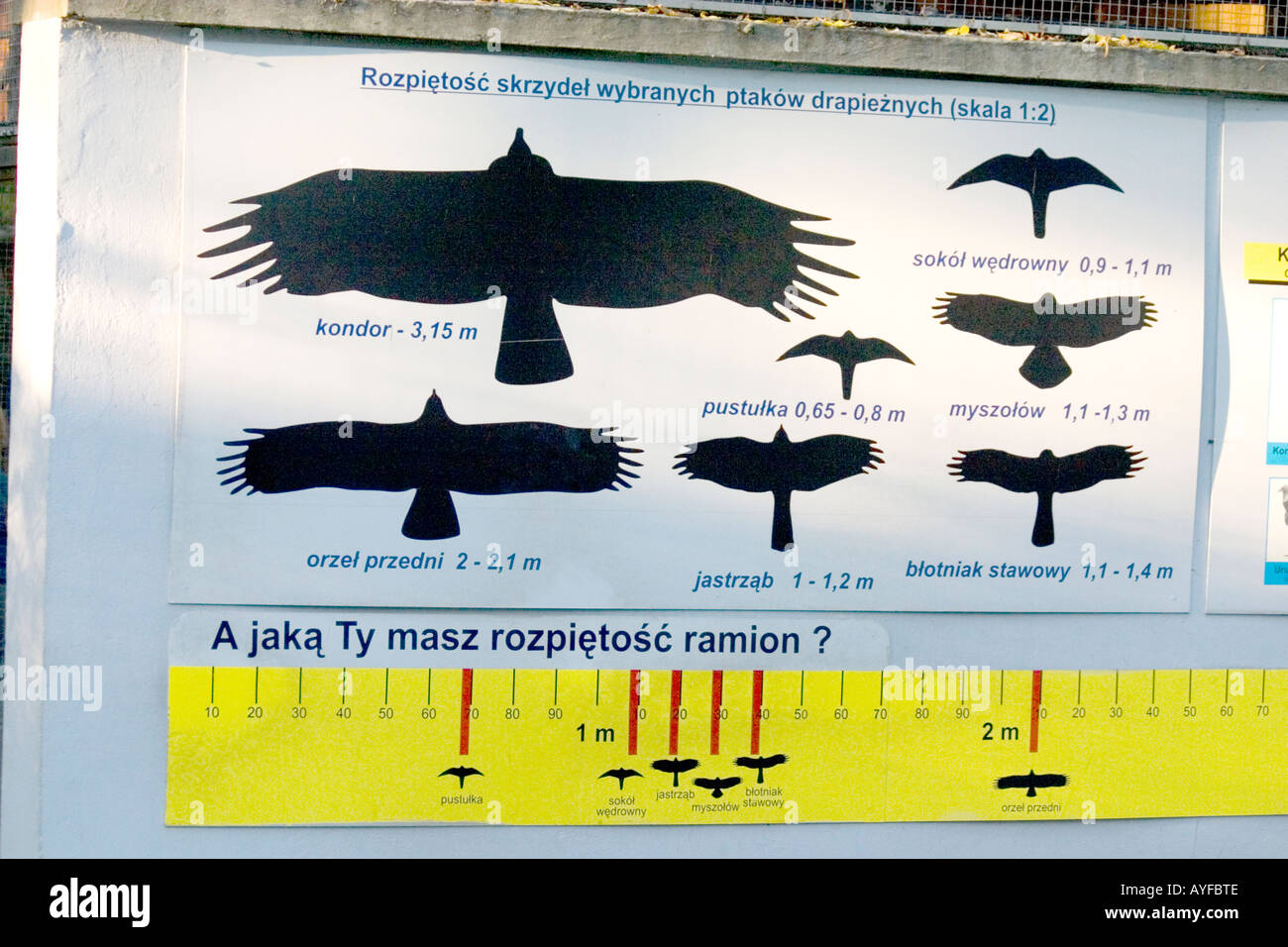 Wingspan Of Predatory Birds Balucki District Zoo Lodz Central Stock Photo Alamy,Summer Programs For Kids Near Me