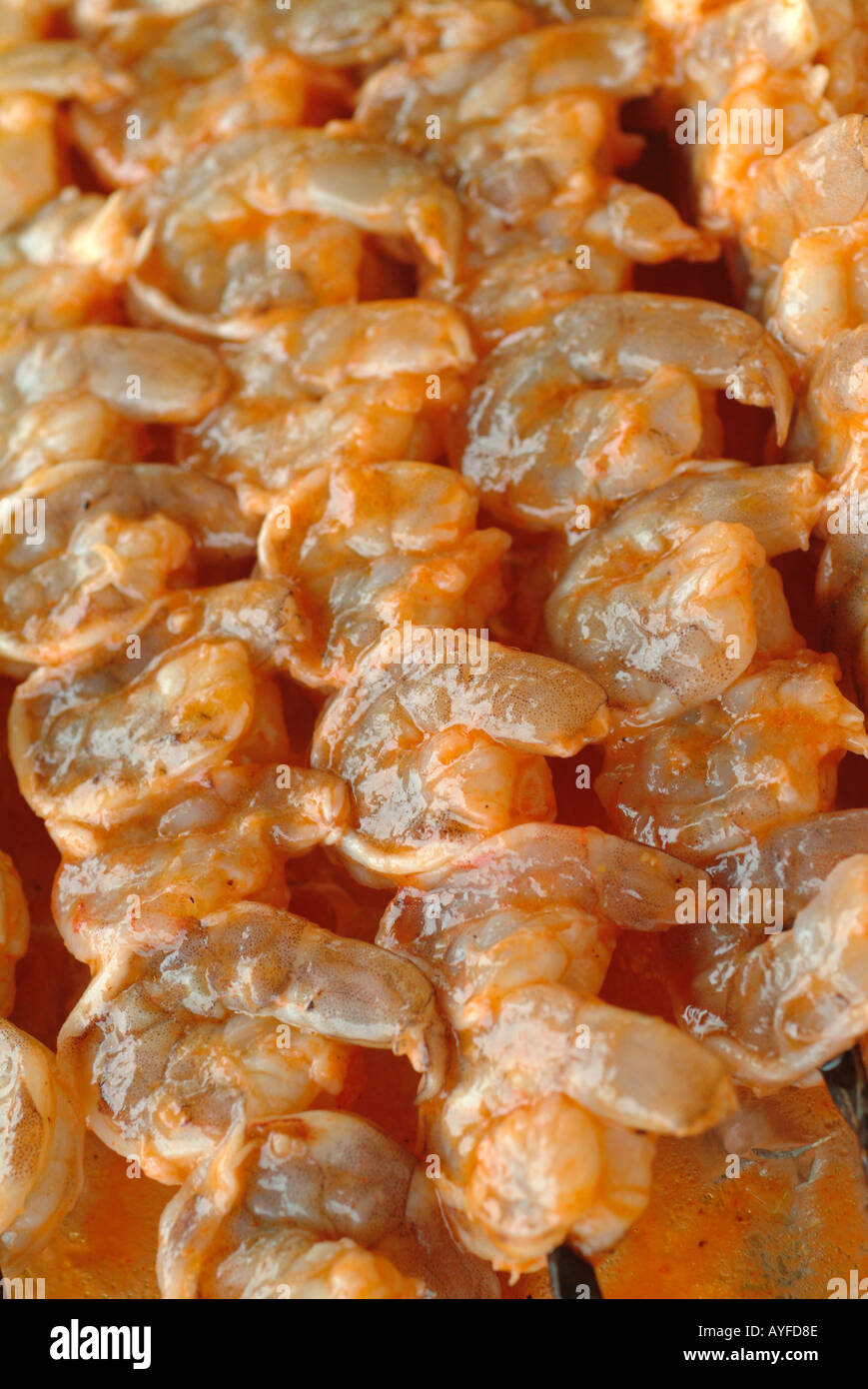 Shrimp in marinade soon to be on the grill or bar b que Stock Photo