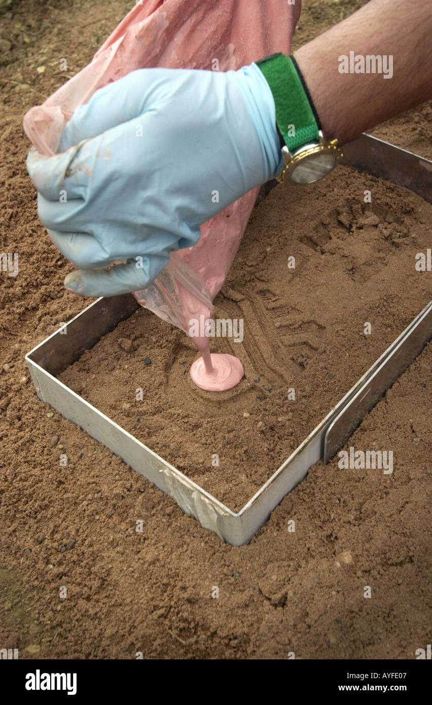 Plaster cast of footprint hires stock photography and images Alamy