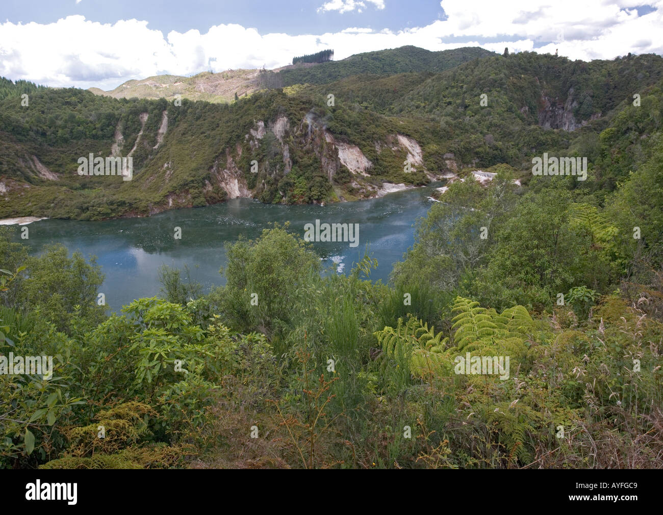 Largest hot spring in the world at Waimangu valley Geothermal activity North Island New Zealand Stock Photo