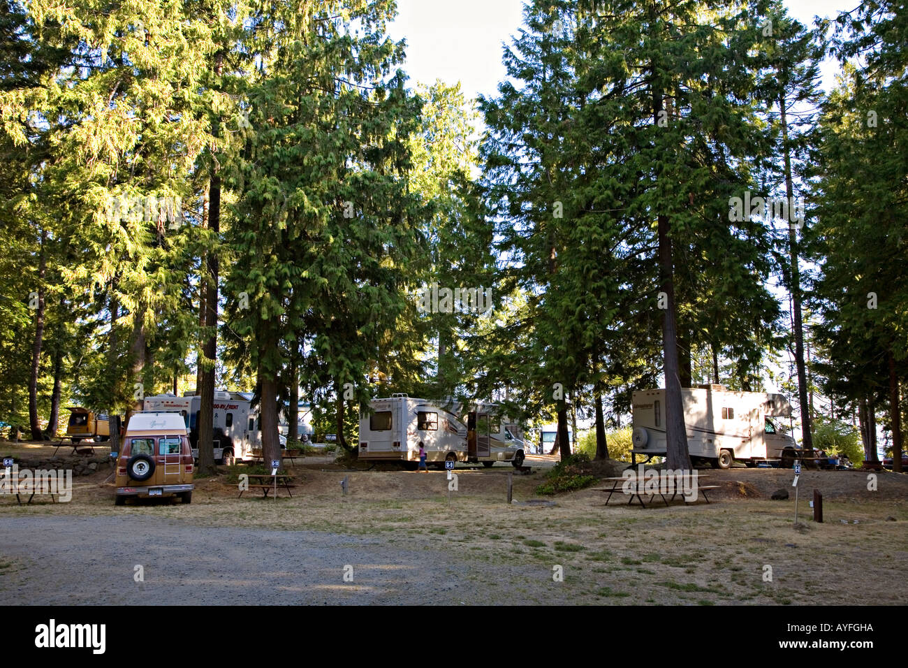Motor caravans campervans parked in Living Forest campsite Nanaimo Vancouver island Canada Stock Photo