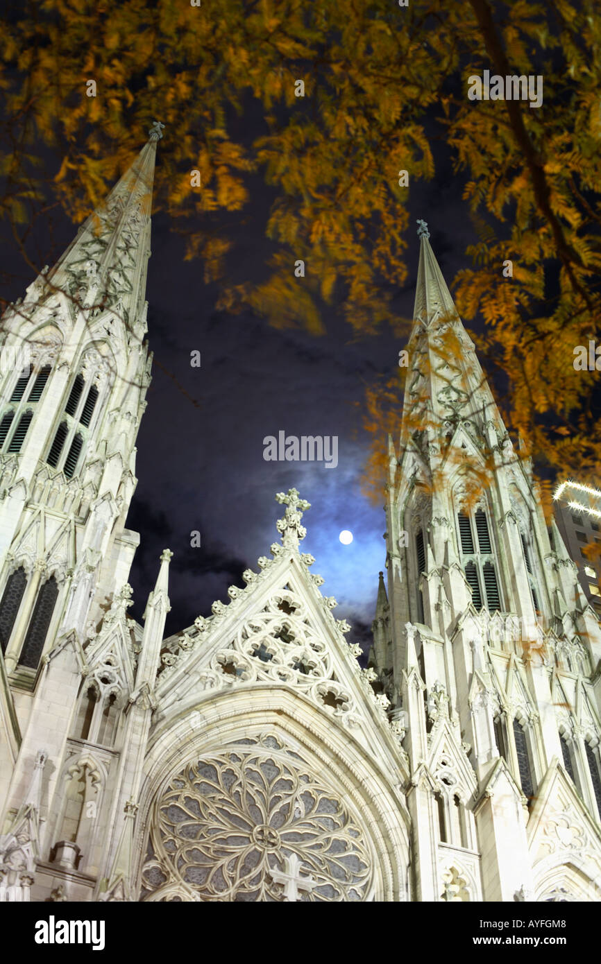 St. Patricks Cathedral on Moonlit Night, New York City Stock Photo