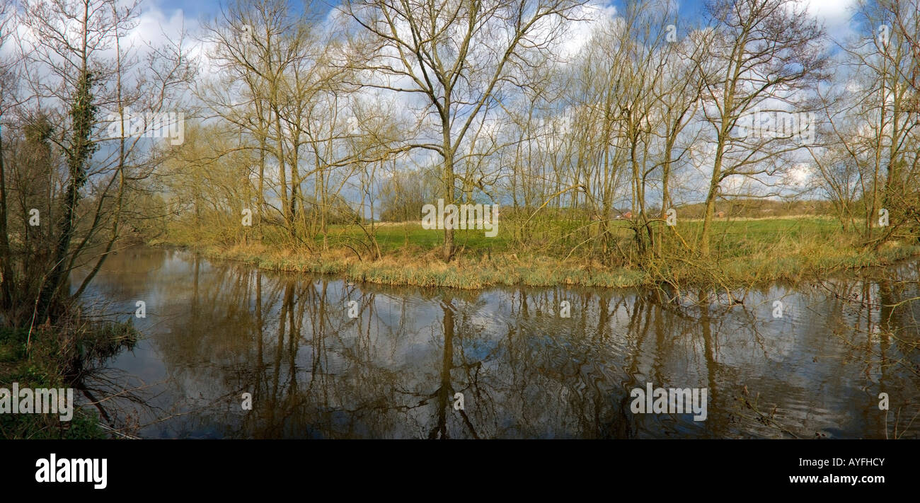 The banks of a river with bushes and trees Stock Photo - Alamy