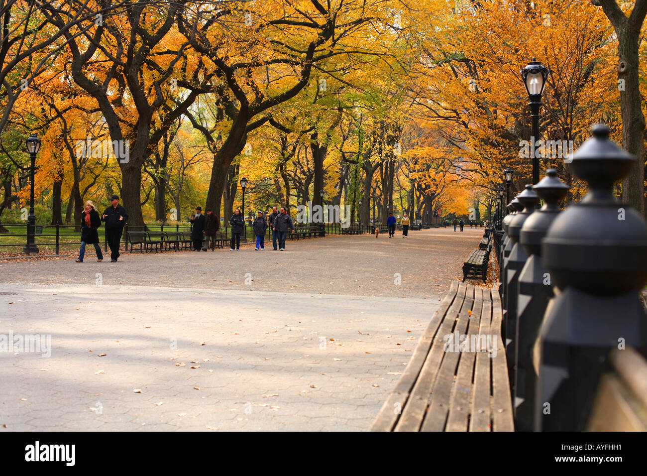 Bench and Pathway in Central Park, New York City Stock Photo