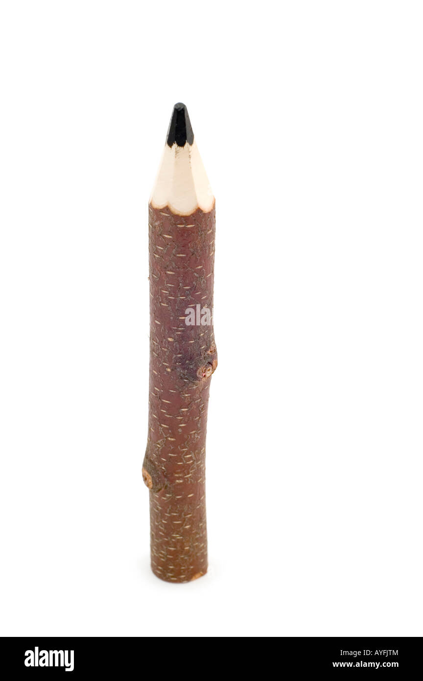 object on white pencil tree Stock Photo Alamy