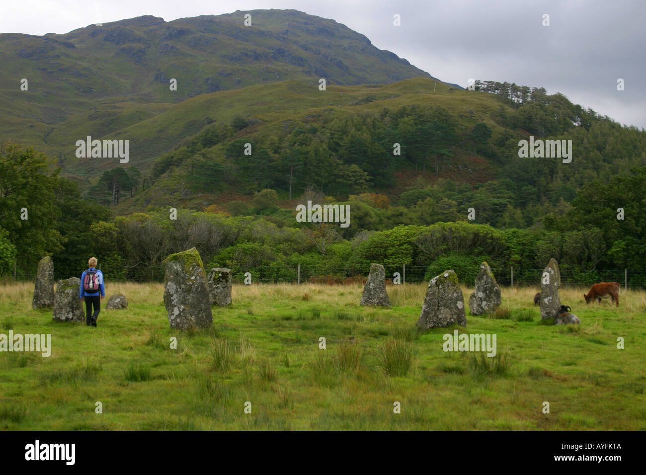 Lochbuie Stone Circle on the island of Mull, Scotland Stock Photo Alamy