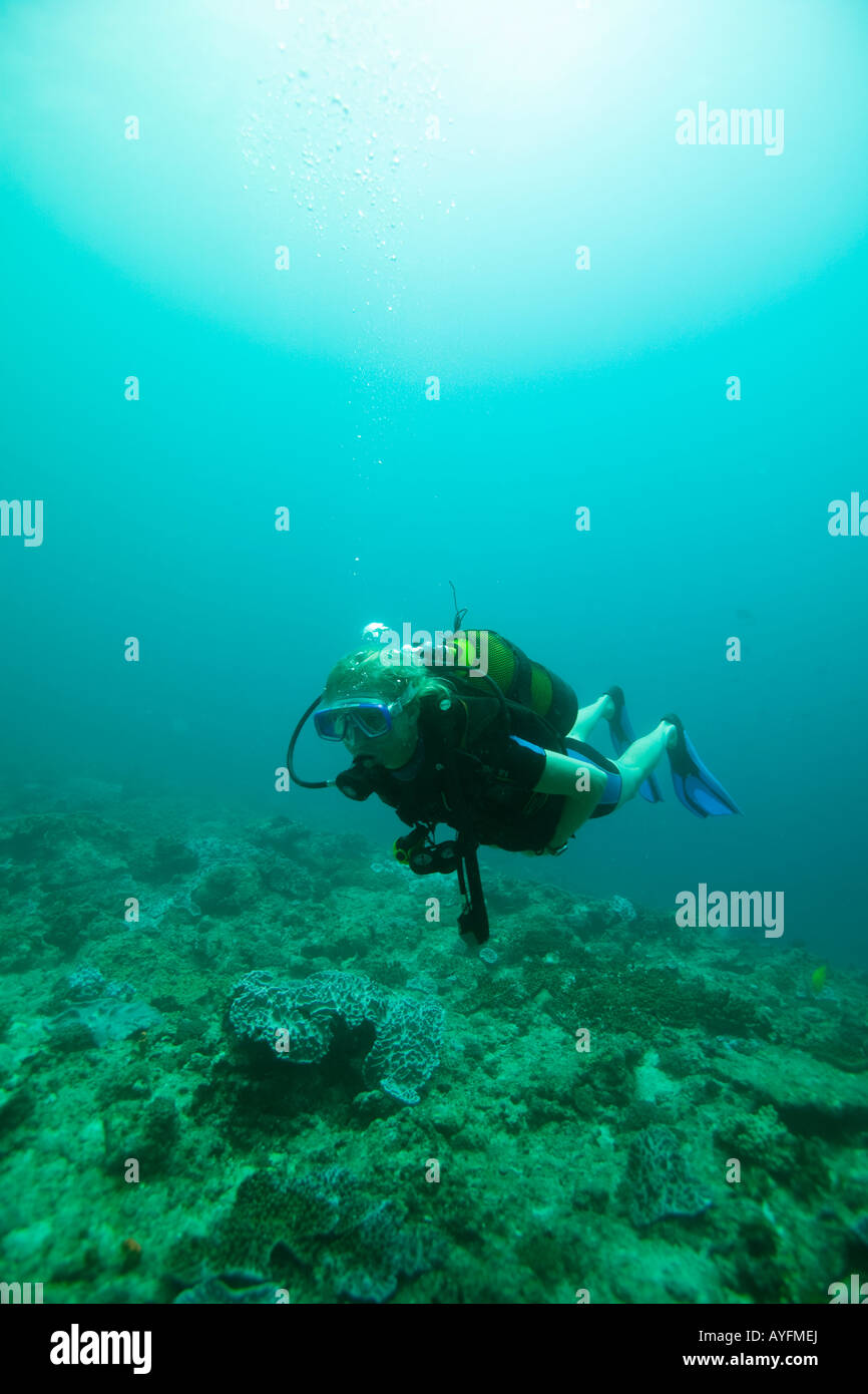 Africa Kenya Watamu Young woman scuba diving along shallow coral reef