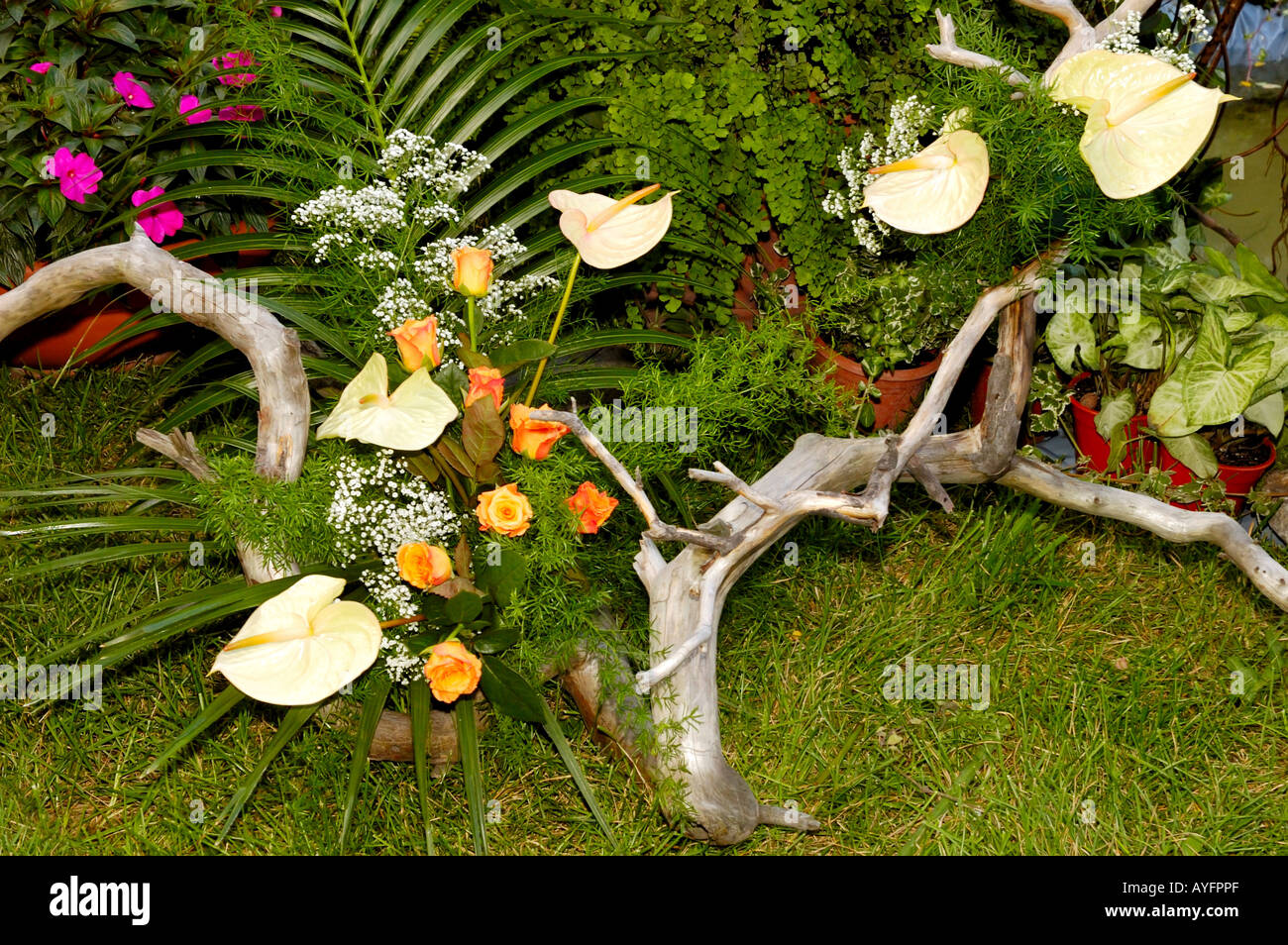 Landscape gardening and flower arrangement Stock Photo Alamy