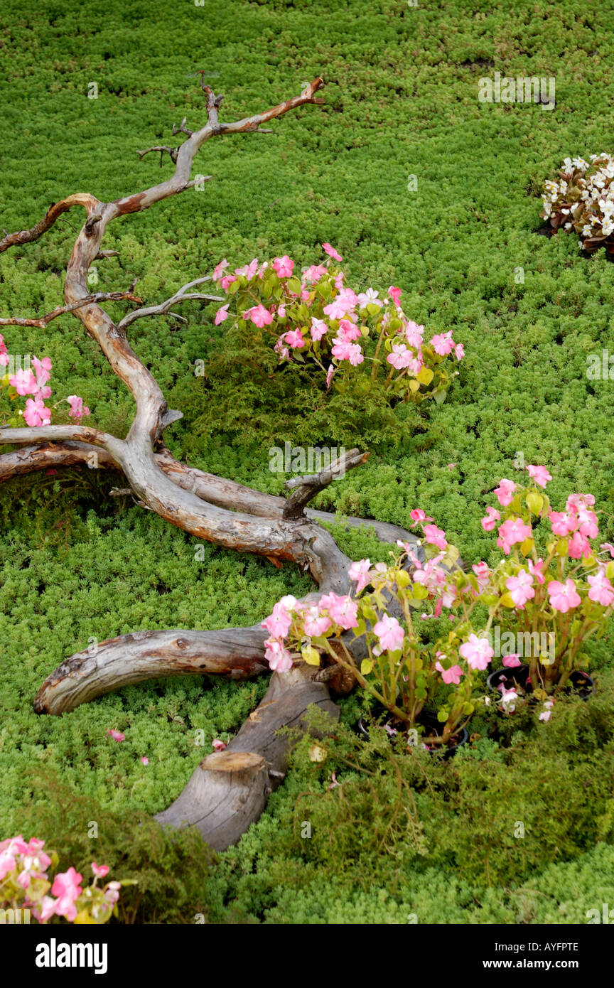 Landscape gardening and flower arrangement Stock Photo Alamy