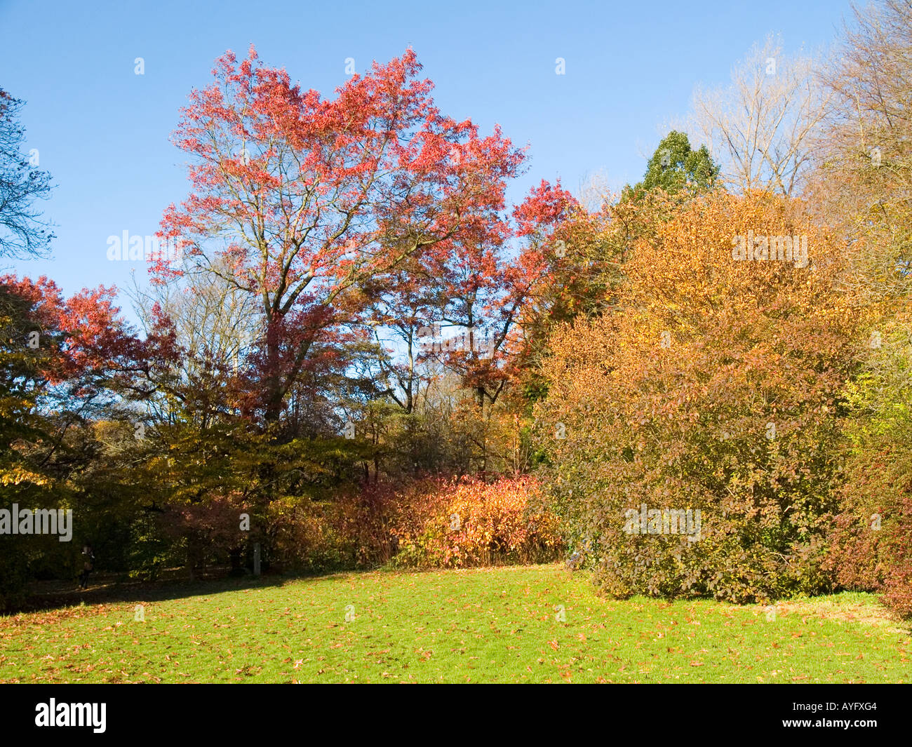 Thorp wood hires stock photography and images Alamy