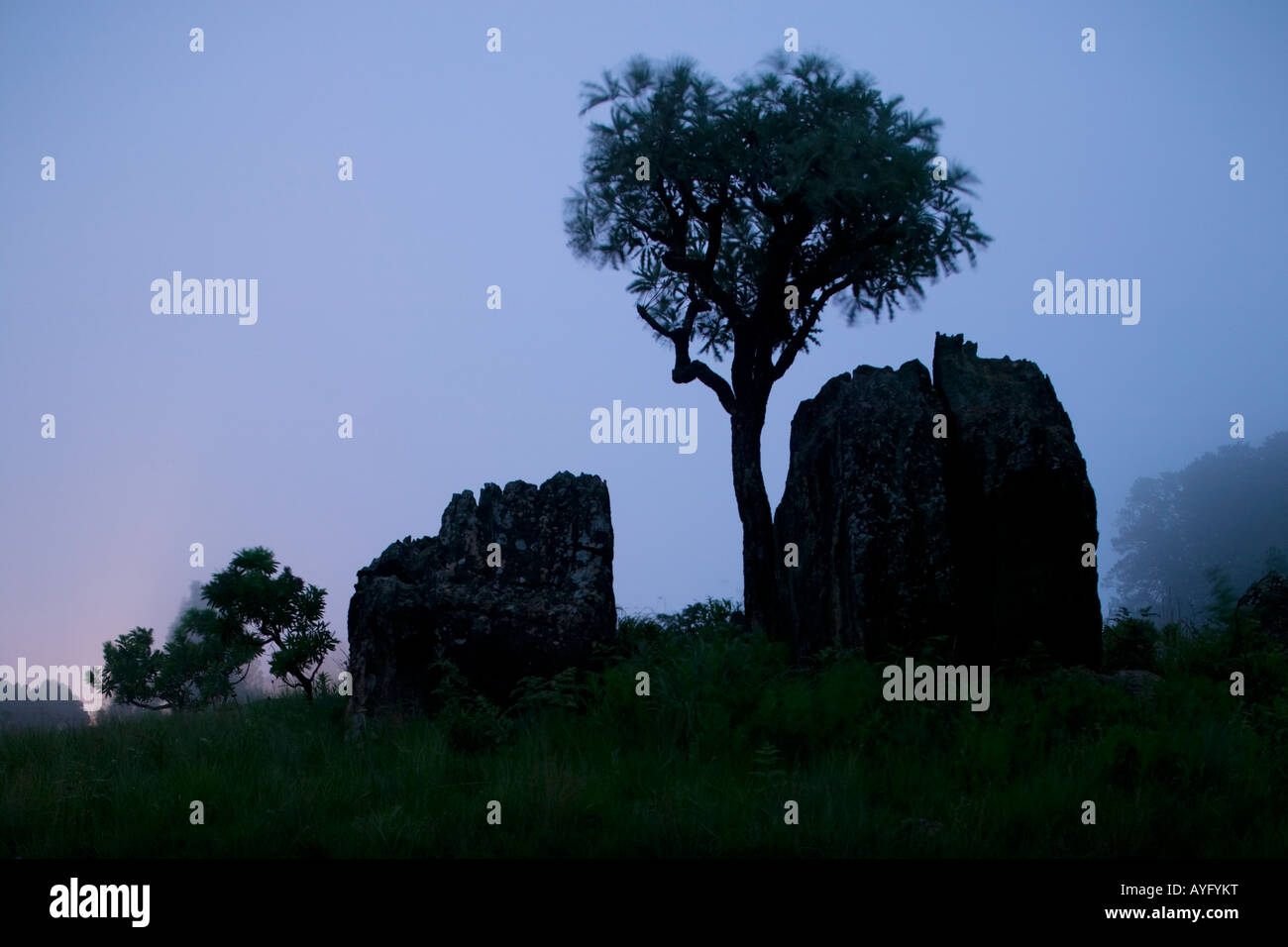 South Africa KwaZulu Natal Province Royal Natal National Park Fog ...