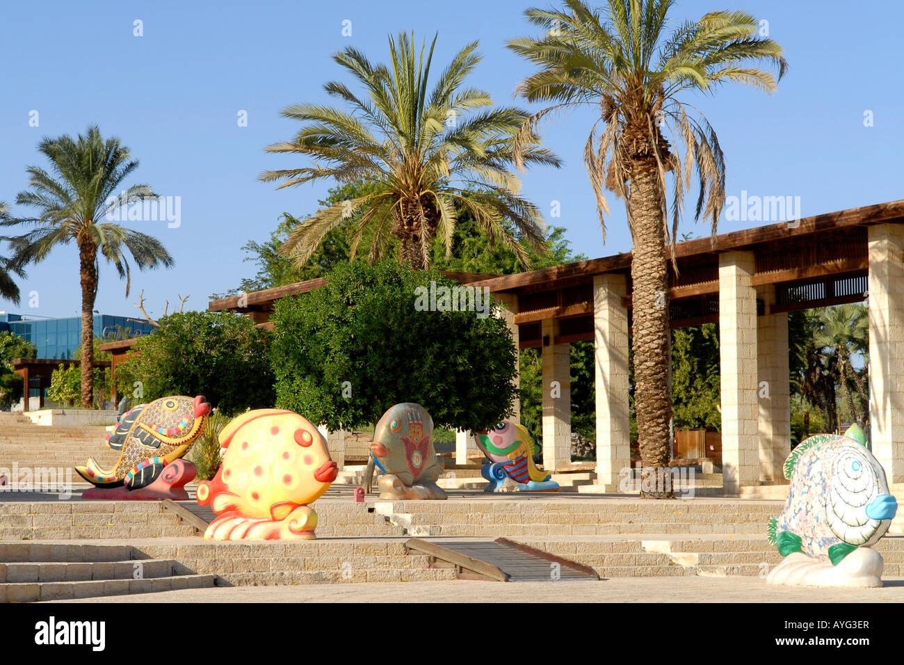 dating eilat