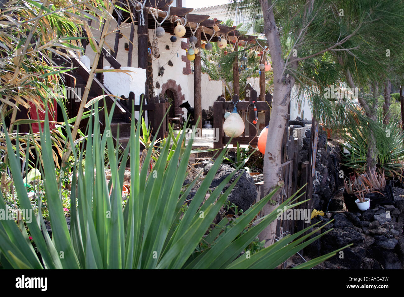 Guard dogs exotic Spanish habitat Stock Photo Alamy