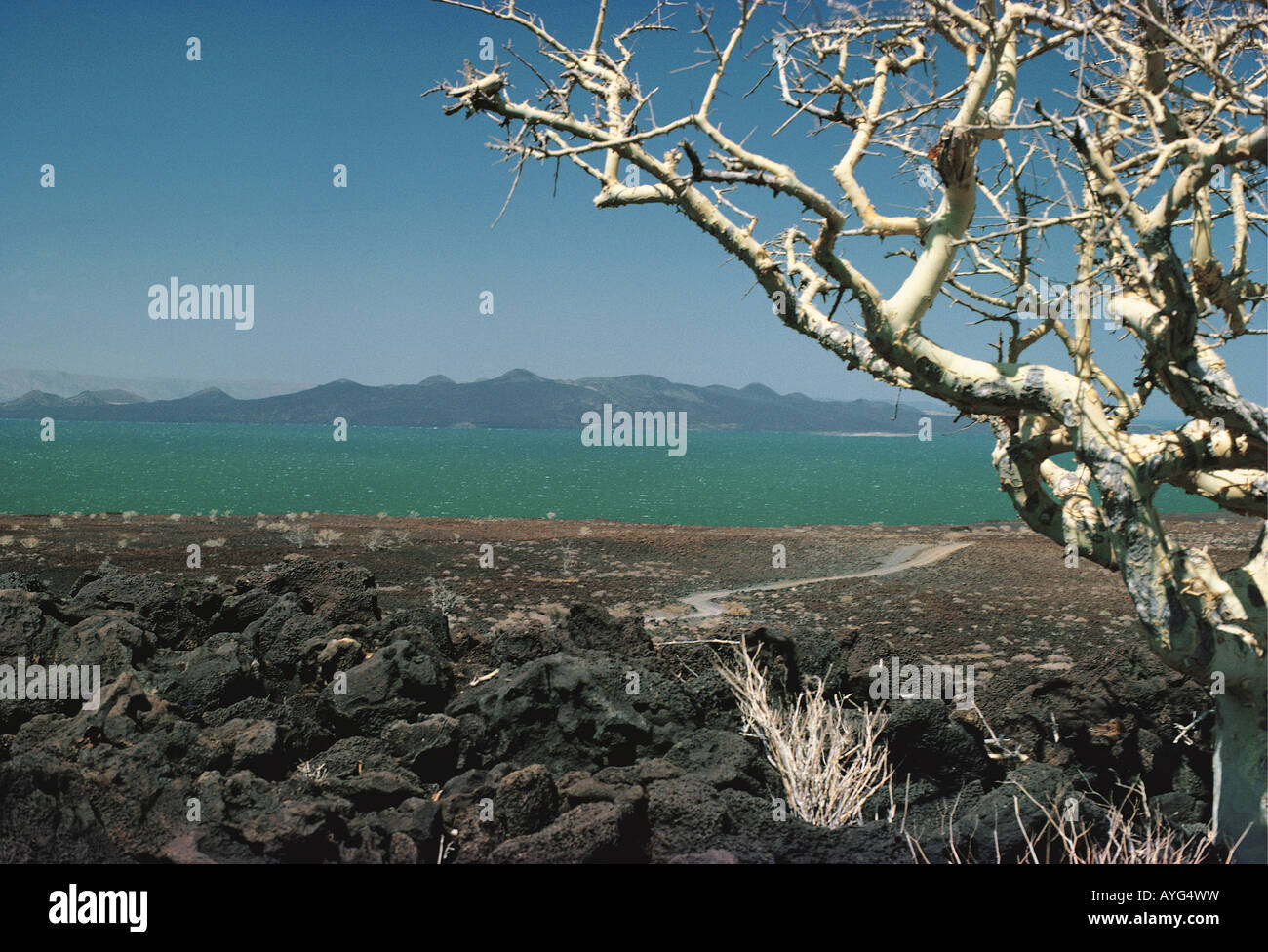 Lake Turkana and South Island in northern Kenya East Africa Stock Photo