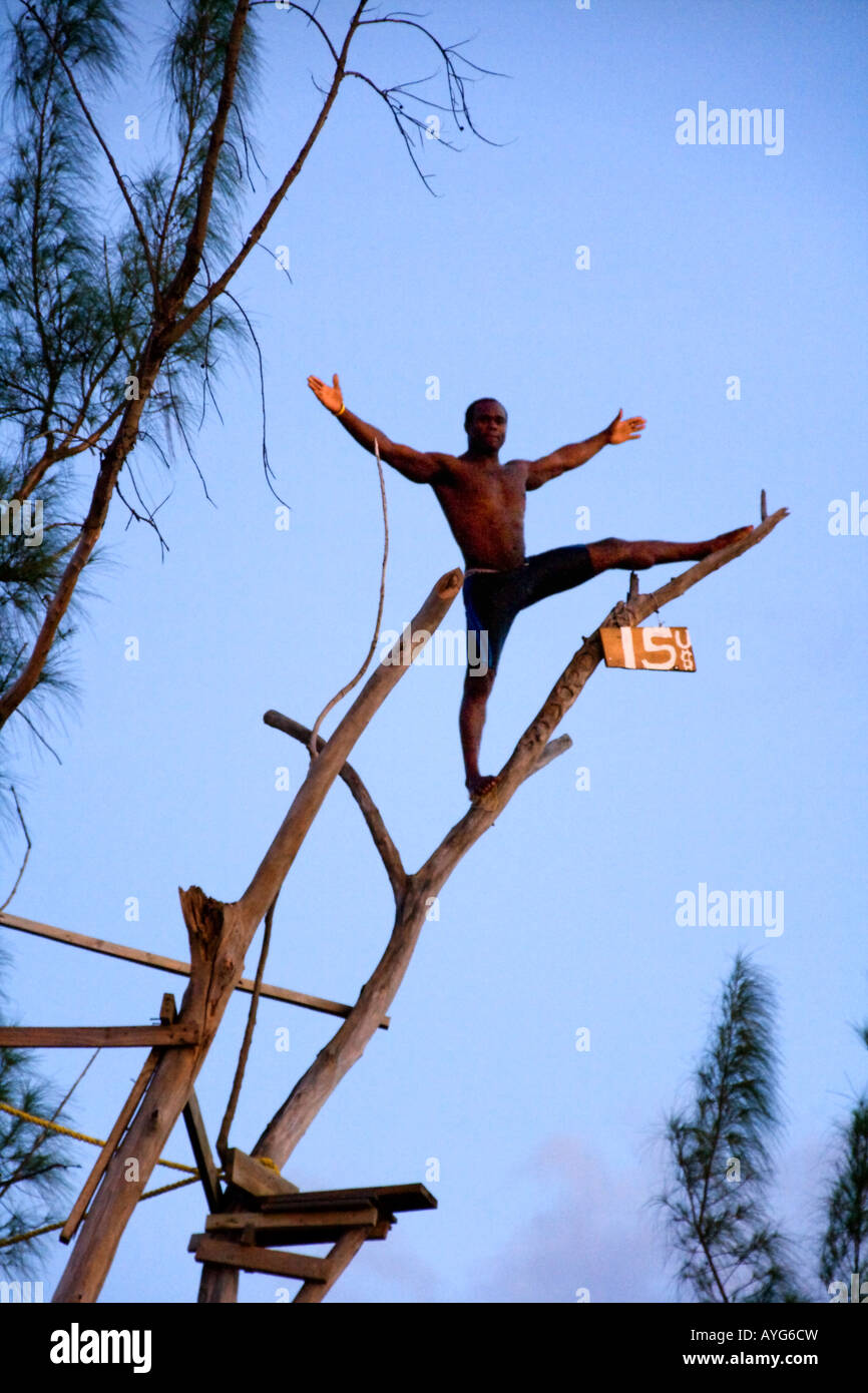 Jamaica Negril Ricks Cafe Cliff Diver jumping from a Tree Stock Photo