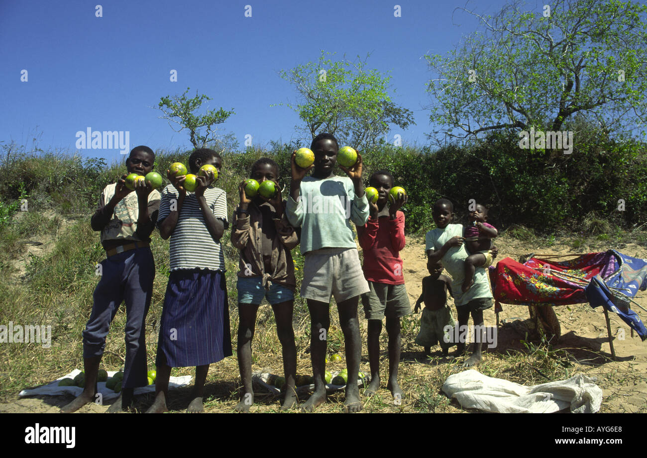 Selling fruit (Minkey fruit) near Bilene Maputo Province Mozambique Stock Photo