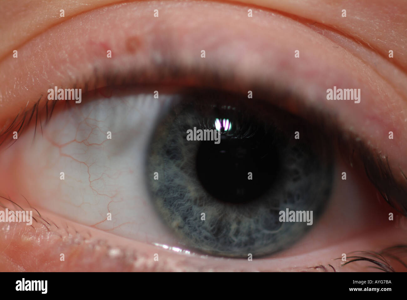 human eye landscape Stock Photo Alamy