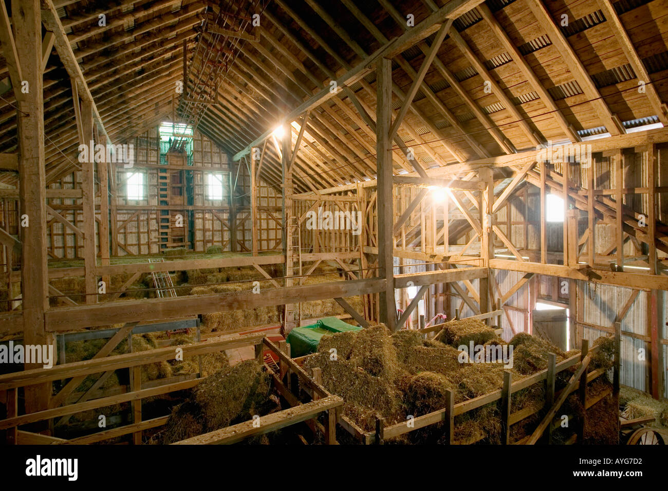 Post and beam Dutch barn built 1800s upstate New York Stock Photo
