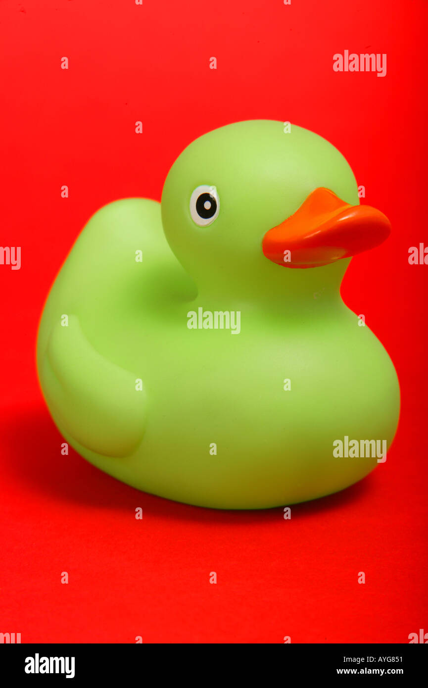 green rubber duck Stock Photo