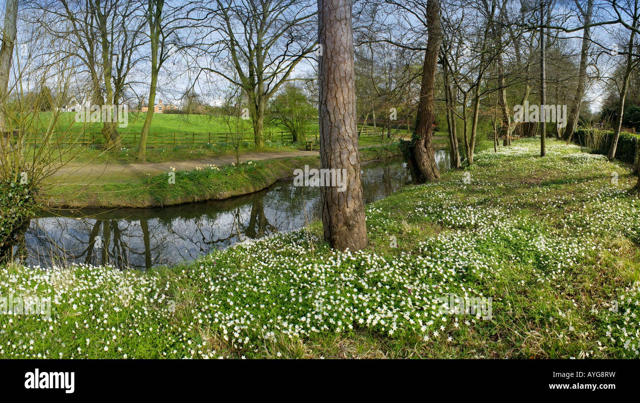 The banks of a river with bushes and trees Stock Photo - Alamy