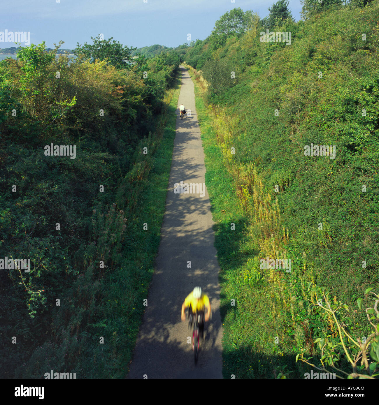 Looking along Tarka Trail with two people cycling one at speed blurred yellow with white helmet Braunton North Devon England Stock Photo