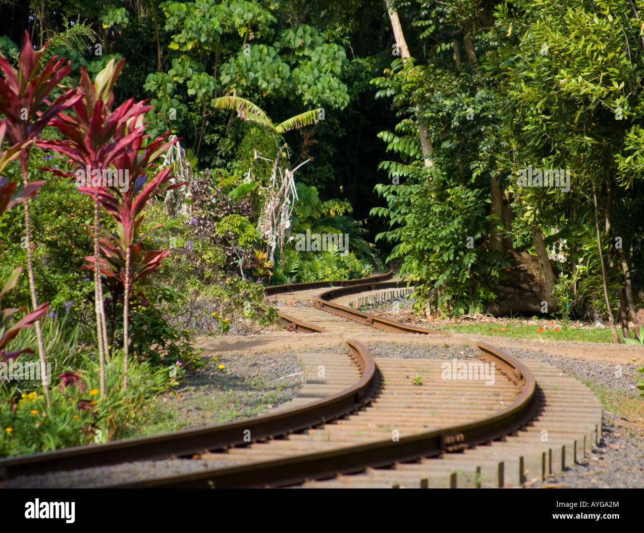 Narrow-gauge train tracks through sugarcane plantation in Kauai, Hawaii Stock Photo